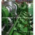 100kw CNG LNG Biogass Natural Gas Engine Power Electric Generator or Genset